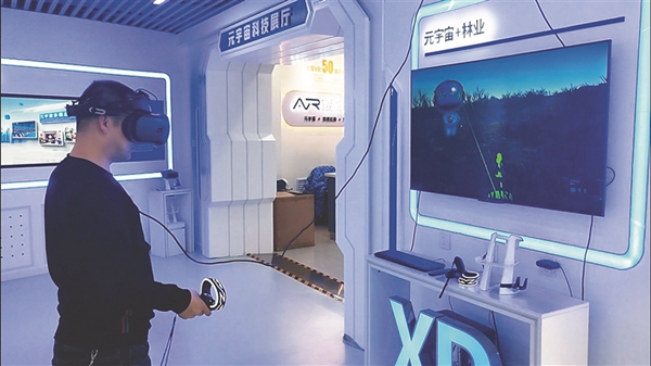 虚拟现实数字技术研究院（哈尔滨）有限公司的元宇宙科技展厅。黑龙江日报记者 蒋平摄