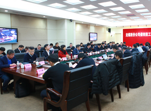 2019年12月11日，龙煤股份公司债转股工作启动会议召开。
            
